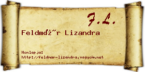 Feldmár Lizandra névjegykártya